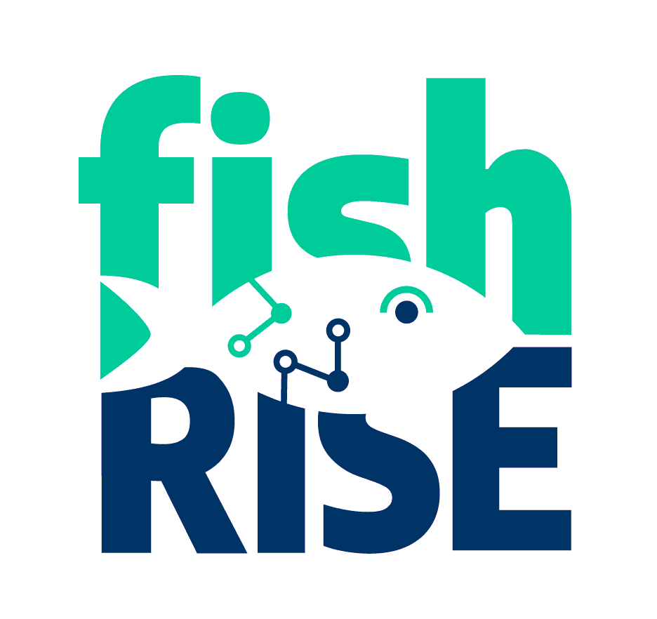 Progetto Fish Rise